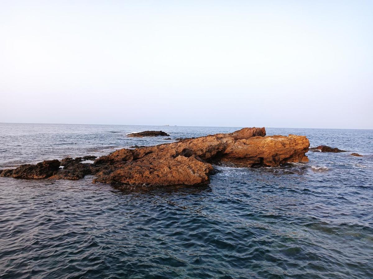 Cabo De Palos Vvmu 4780-1 Bagian luar foto